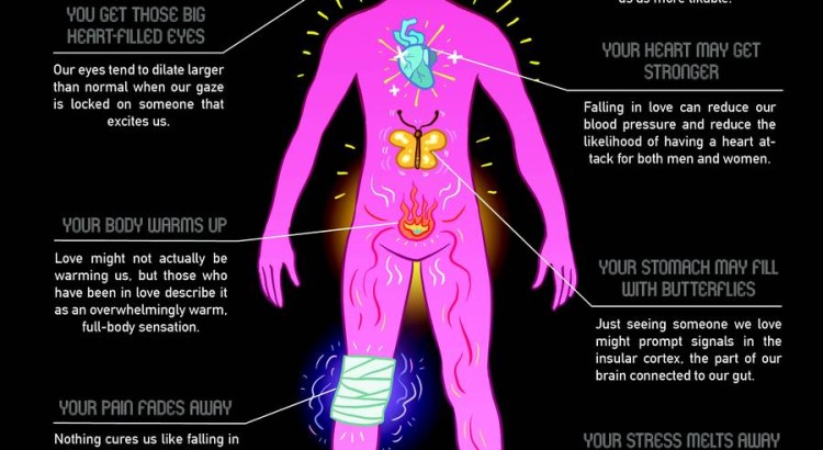 effects of love on the body