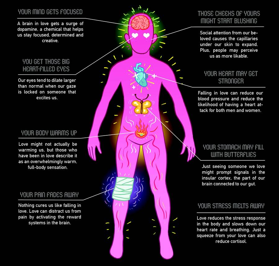effects of love on the body